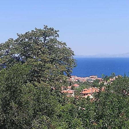 Studios Akrotiri Mytilíni 外观 照片